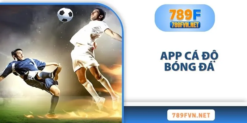 app-ca-do-bong-da