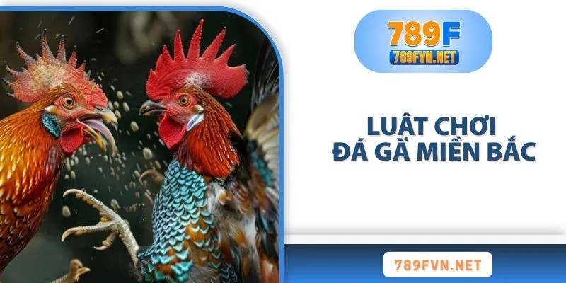 luat-choi-da-ga-mien-bac